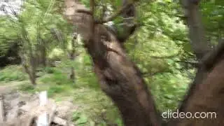Участок Симферополь Досычева