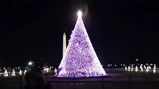 Вова фотографируется на новогодней елке в Вашингтоне