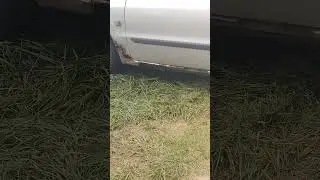 Вольво  Volvo  в отличном техническом состоянии  #стиль #стиляга #внешка  #роман_юревич