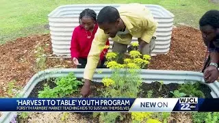 From farm to table; Savannah Chatham County students learn how to farm in pilot program