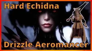 Drizzle Aeromancer Hard Echidna Gate 2 (Top Damage)