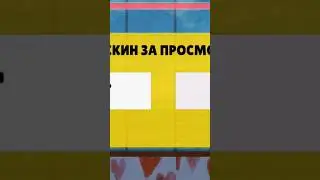 видео на канале 