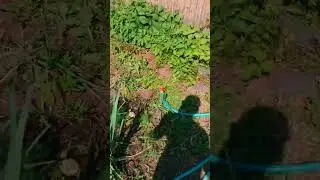 Вот как получилось после двойной обработки.