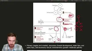 Female Reproductive Anatomy and Hormonal Cycles