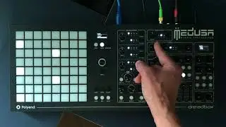 Medusa Hybrid Synthesizer - Analog & Digital voices comparison.