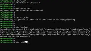 3 - Globbing, Quoting, and Control Statements - Linux Course