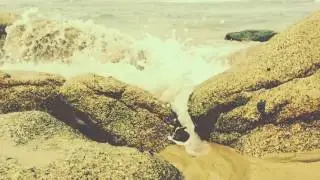 *FREE* 