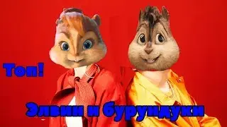 Элвин и Бурундуки перепели песню Топ(Время и Стекло)