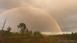 7 сентября 2023г  Сбор Клюквы