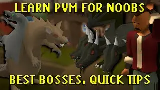 Start bossing in 2026 - A noobs guide to learning PVM