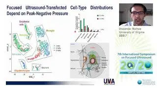 A.S. Mathew - ScRNA-seq Reveals FUS Enrichment of Cells and Responses after BBB Opening (2020)