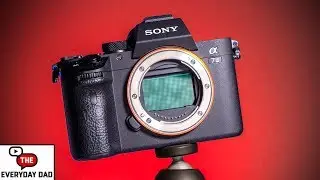 Is the Sony A7III Worth Buying in 2019?