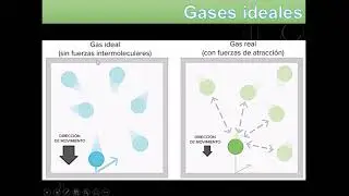 IDEAL GASES VS REAL GASES