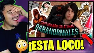 MissaSinfonia -''Capturando CRIATURAS MISTERIOSAS PERRONAS!'' / REACCION