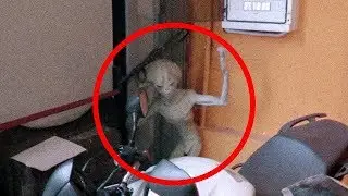 5 Extraterrestrials Caught on Tape - Best Alien Videos