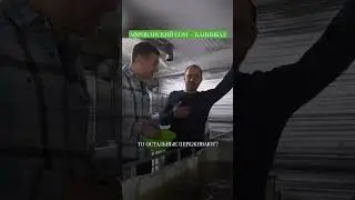 Африканский сом. Какой он? 