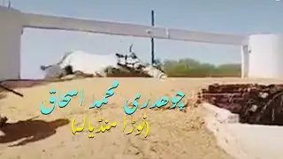 Bull Race Pakistan Ch M Ishaq Noorha Mandyala Phirt Malka 4 mint 81 Phairy.