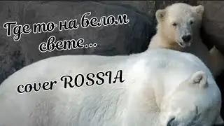 Где то на белом свете... - ( cover ROSSIA )