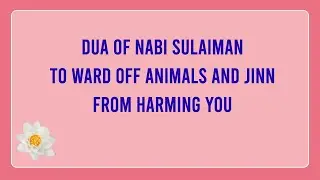Dua Of Nabi Sulaiman To Ward Off Animals & Jinn From Harming You