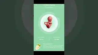 देखिए मां के कोख में आप कैसे बढ़ रहे थे #mother #pregnancy #life