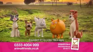 Animal Friends Pet Insurance - Oodles of Poodles Advert