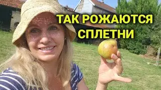 так рождаются слухи и сплетни | лицемерие