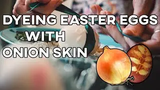 EASTER EGGS Naturally Dyed with Onion Skin - Latvian Tradition (B-roll video)