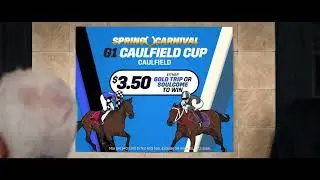Caulfield Cup 2023 Special
