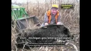 Wild Hogs Public Service Announcement (Feral Swine)