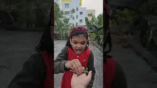 Pushpa Pushpa🤣😂😂