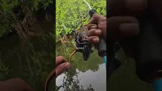 Ini yang namanya Mancing itu bikin Ketagihan😆 #mancing #fishingvideo #mancingsungai #mancingkakap