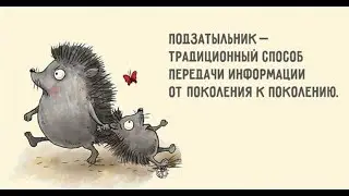 вот это воспитание
