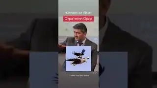 Стратегия Орла