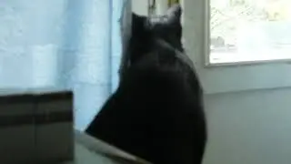 БАСТЕТ
