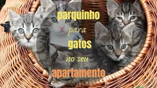 Parquinho para  gatos no seu apartamento