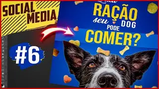 COMO FAZER SOCIAL MEDIA DE PETSHOP - SOCIAL MEDIA #6 - PET