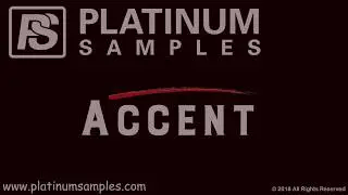 Platinum Samples: Accent Overview
