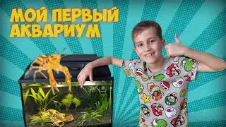 Мой первый Аквариум. Оранжевые Мексиканские Карликовые Раки .