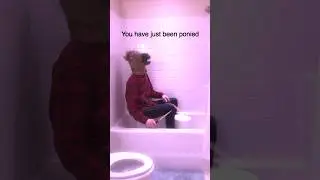 Man-horse plays “Pony” by Genuwine on a bucket in a shower