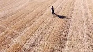 Fia in the Fields!