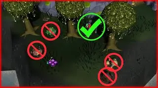 Struggling Sapling Guide Complete OSRS Forestry Event Explanation