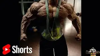 Power Bodybuilding