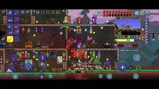 pirate raid in terraria hardmode