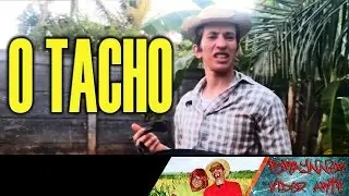 O TACHO - HISTÓRIAS DO MEU AVÔ  - Video arte humor