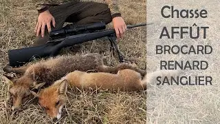 CHASSE à l’affût RENARD et BROCARD + SANGLIER - Ep 3