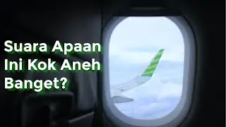 Kok Bisa Ada Suara Anjing di Pesawat?