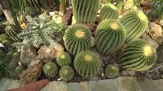Польша , Краков Ботанический сад / Polska , Kraków botaniczny ogród