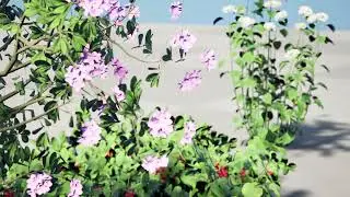 North American Shrubs 3D animation with unreal engine