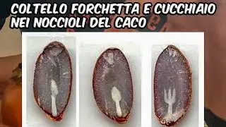 Forchetta coltello e cucchiaio nei noccioli dei cachi 😁 