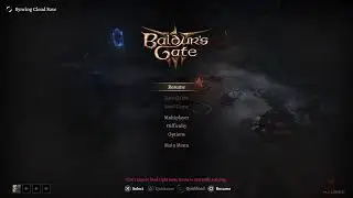 Baldurs Gate 3 - 014
